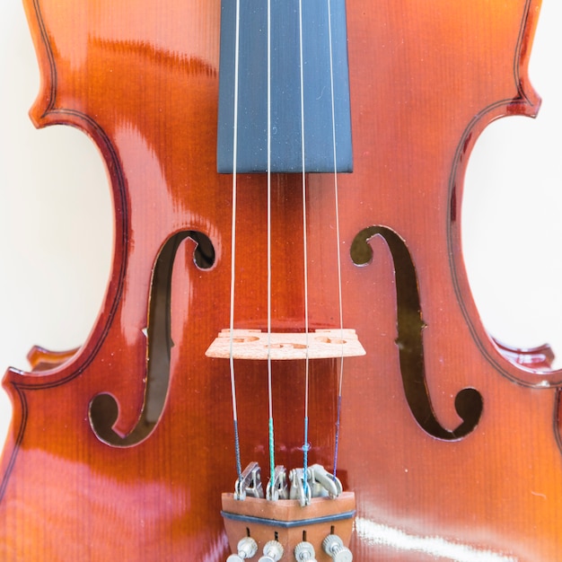 Close-up of fine tuning string adjuster of a violin