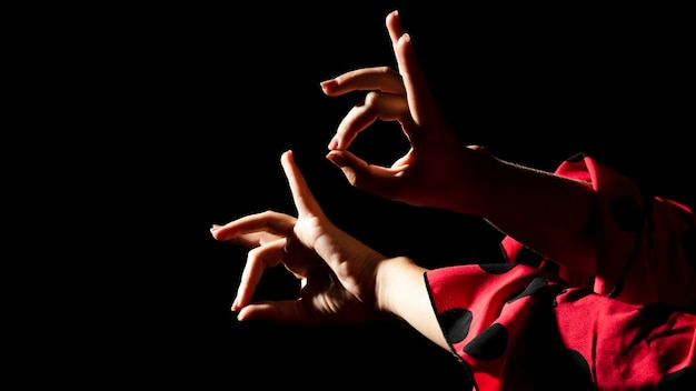 Free photo close-up flamenca hands performing floreo