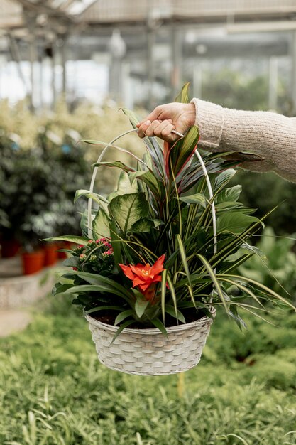 フラワーバスケットを保持しているクローズアップの花屋