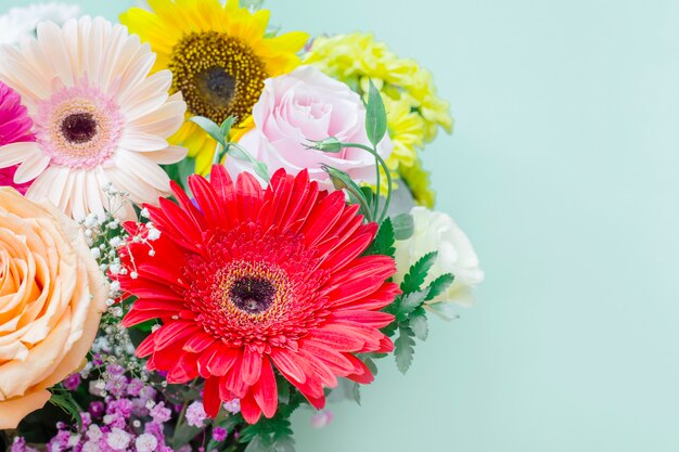 Close-up of flower bouquet on colored background
