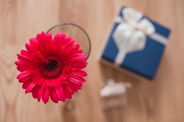 Free photo close-up of flower with blurred background