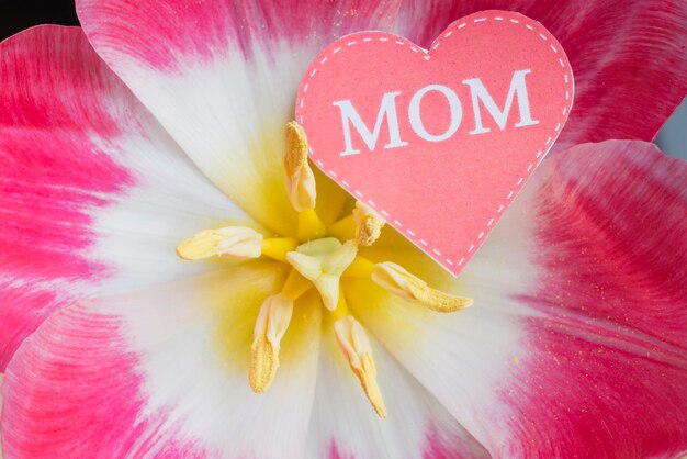 Крупный план цветка с сердцем на день матери