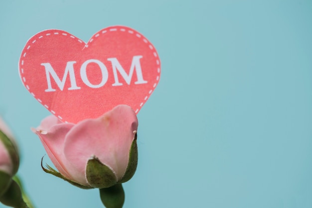 Free photo close-up of flower with paper heart for mother's day