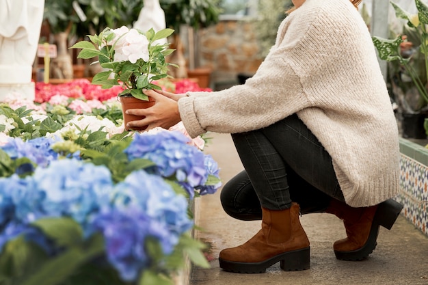 Free photo close-up flowers arranging flowerpots