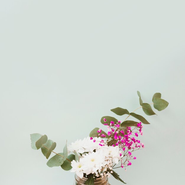 Close-up of flowers in vase against colored background