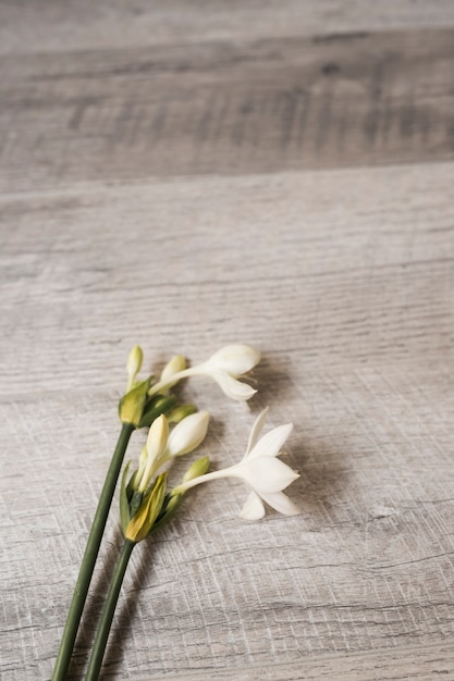 Close-up of flowers on wooden textured background