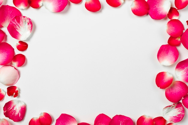 Foto gratuita cornice ravvicinata da petali di rosa