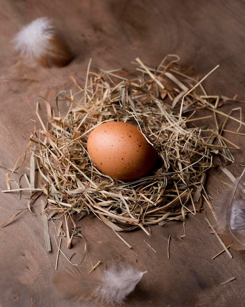 Close-up fresh chicken eggs