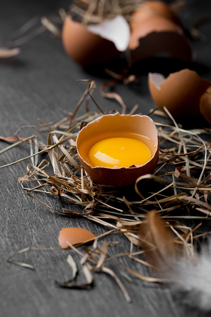 Free Photo close-up fresh chicken eggs