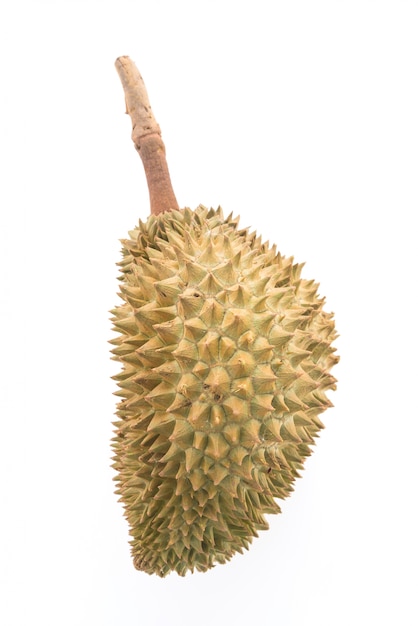 Close-up of fresh durian fruit