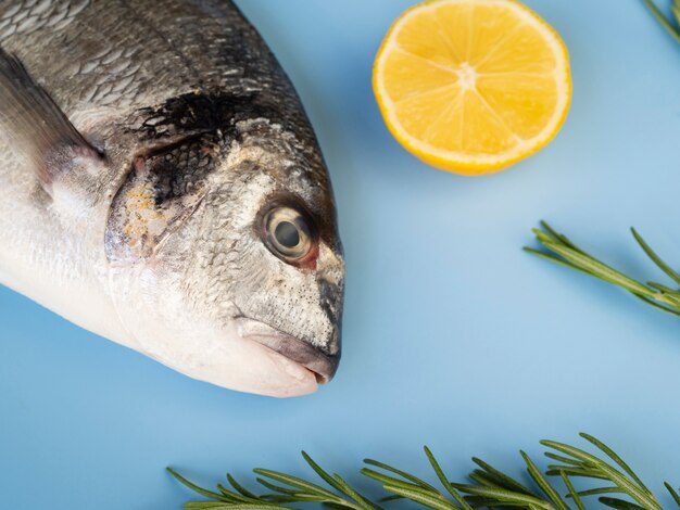 Close-up fresh fish next to a lemon