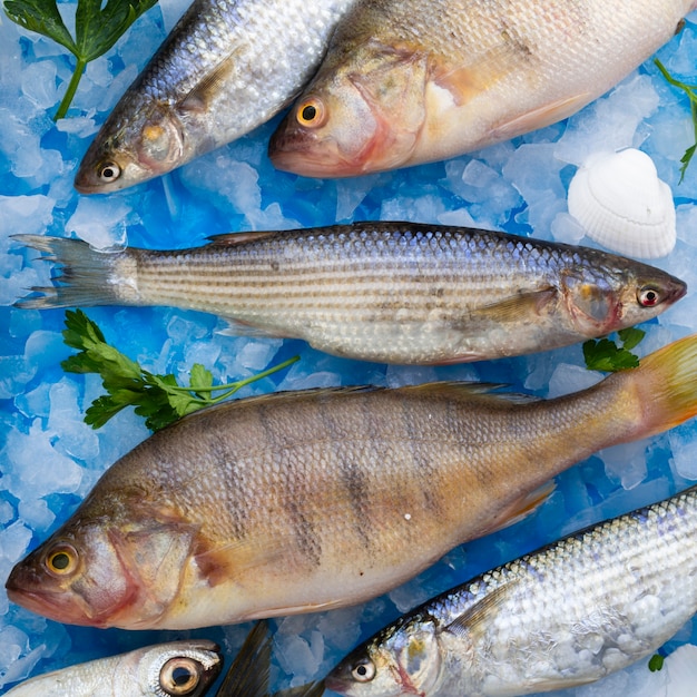 Close-up fresh fishes with gills