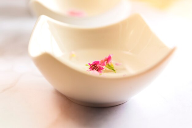 Close-up of fresh flower petals in bowl of water