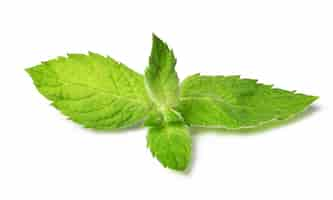 Free photo close up of fresh mint leaves