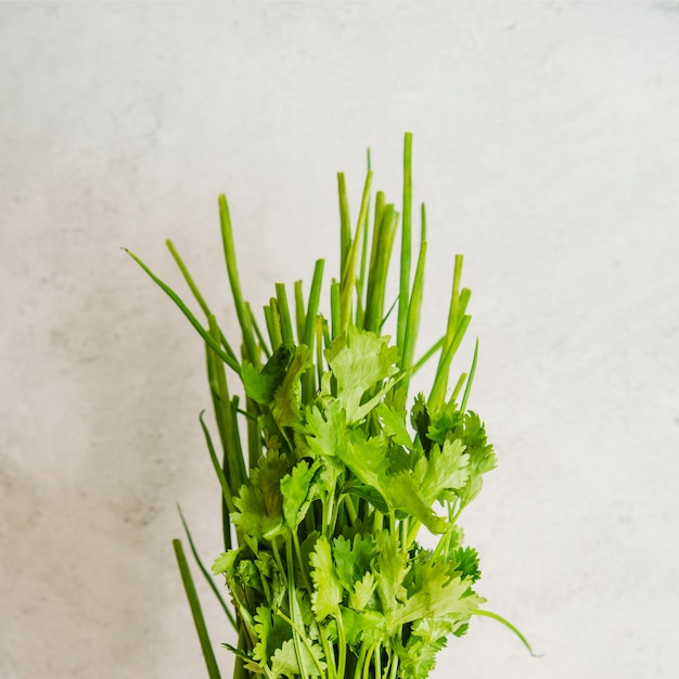 Close-up of a fresh parsley on white textured background