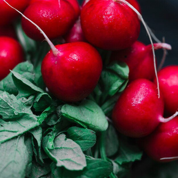 Close-up of fresh radishes