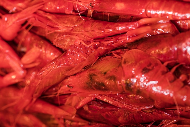 Close-up of fresh red shrimp