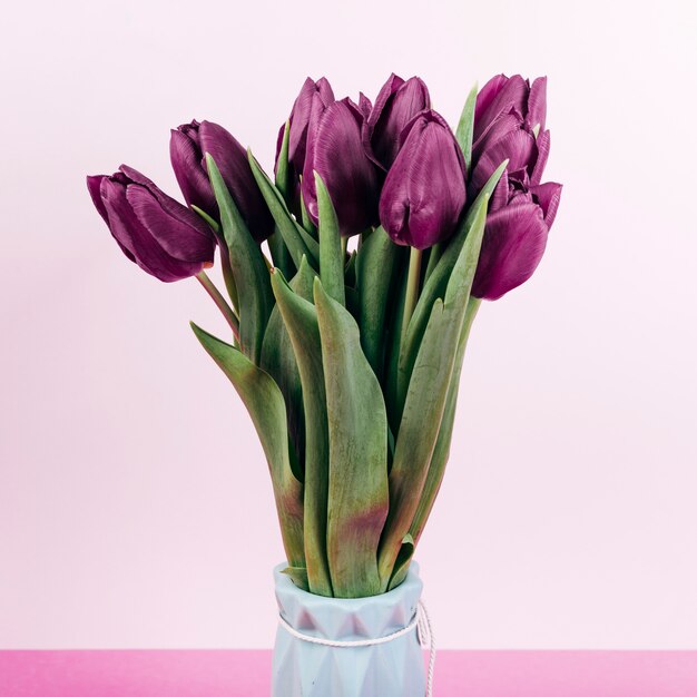 Close-up of fresh red tulip flowers in vase on pink backdrop