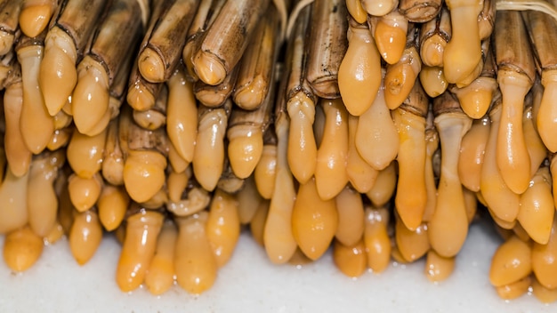 Free photo close-up of fresh seafood at market