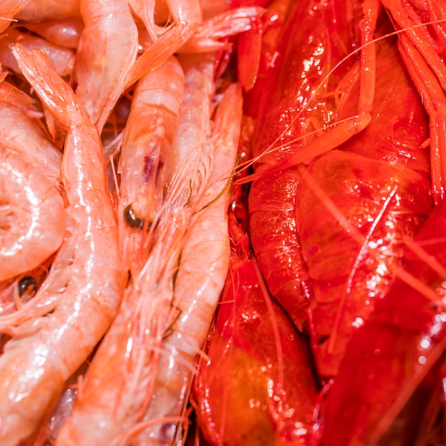 Free photo close-up of fresh shrimps