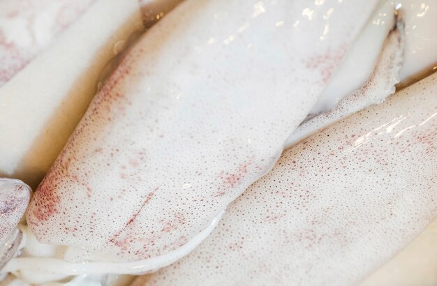 Close-up of fresh squid