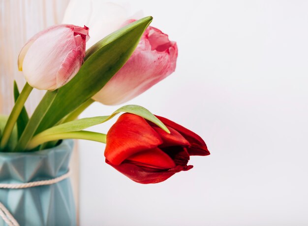 Close-up of fresh tulip flowers in vase on white background