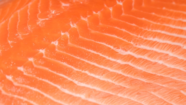 Close-up of freshly cut fish