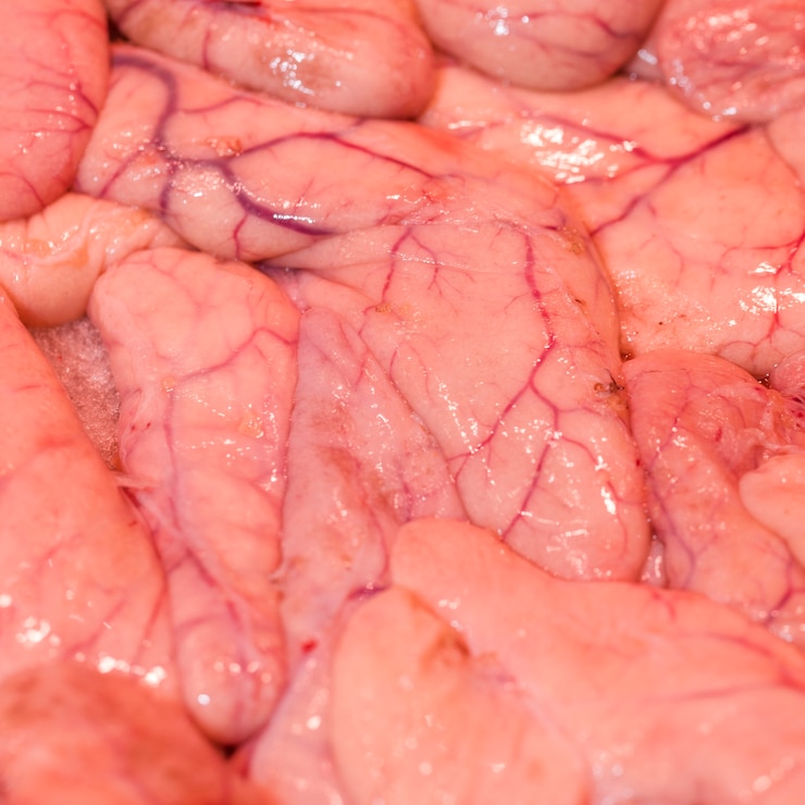 Free Photo close-up of freshly cut meat in market