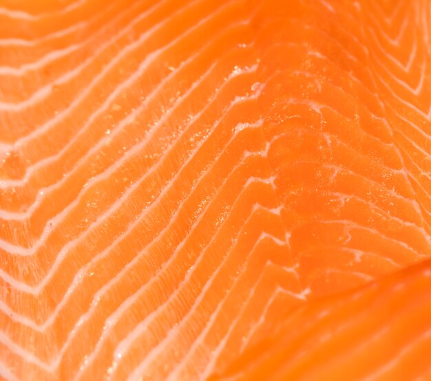 Close-up of freshly cut meat