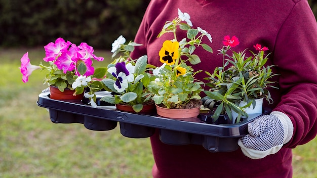 Close-up gardener holding flower pots
