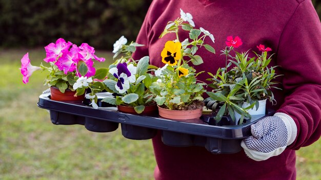 Close-up gardener holding flower pots