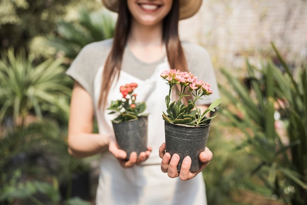 Primo piano della mano di un giardiniere che tiene piante in vaso di fiori freschi