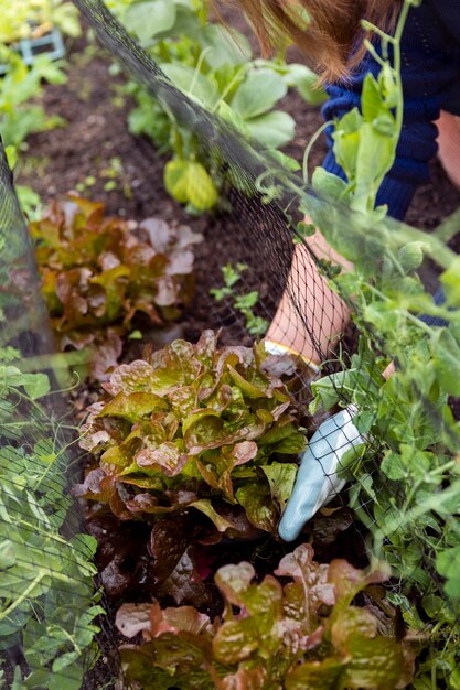 植物の世話をするクローズアップ庭師