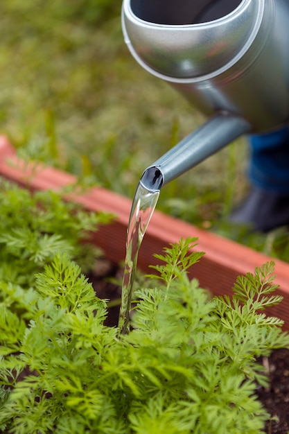 Close-up gardener watering with sprinkler