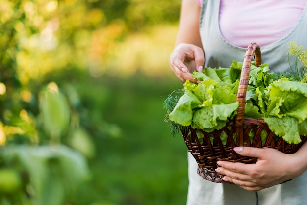 Free photo close-up girl holding basket with lettuce leaves