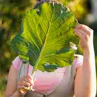 Free photo close-up girl holding lettuce leaf