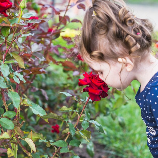 Close-up of a girl smelling beautiful red rose