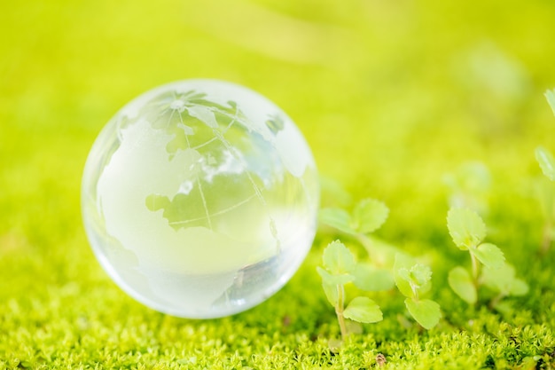 Close up of glass globe in the forest