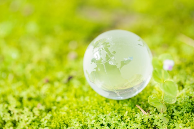 Close up of glass globe in the forest.    