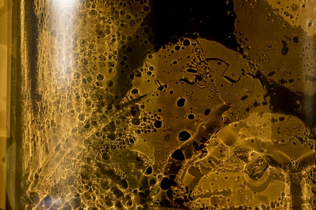 Close-up golden shadows on champagne bottle