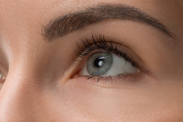 The close up gray eyes on face of young beautiful caucasian girl