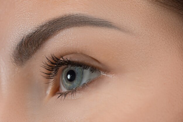 The close up gray eyes on face of young beautiful caucasian girl