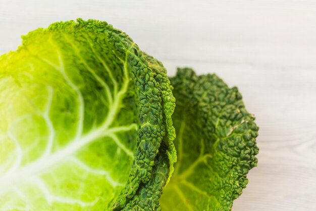 Close-up of green cabbage leaves