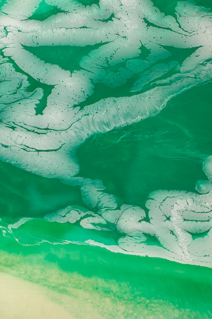 Free photo close up on green jade texture