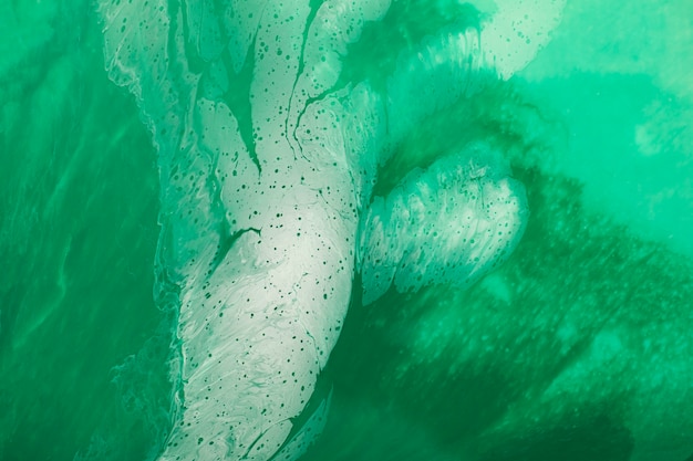 Free photo close up on green jade texture