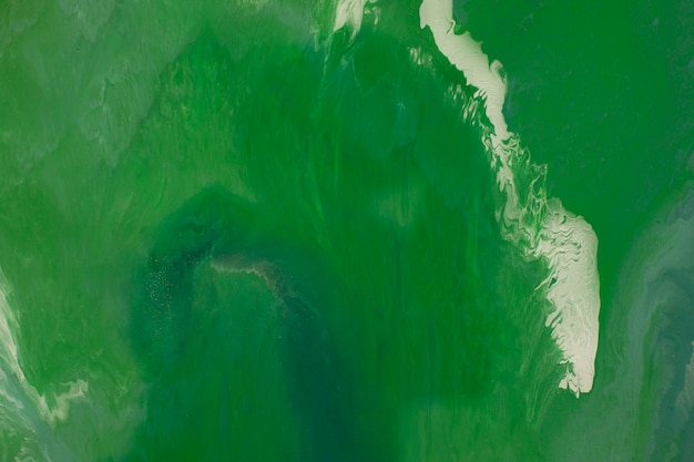 Free Photo close up on green jade texture