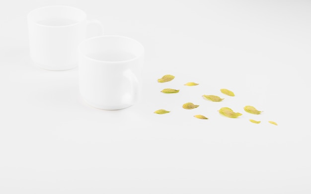 Close-up of green leaves and tea cup on white backdrop