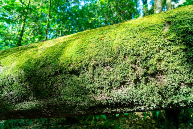 植物保护学
