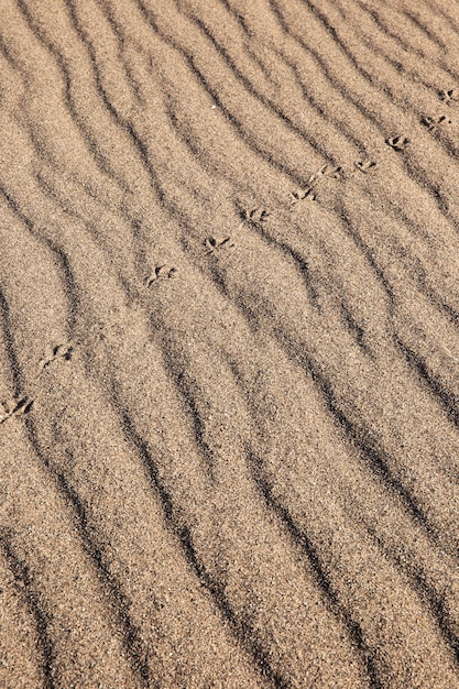 Close up on ground texture detail