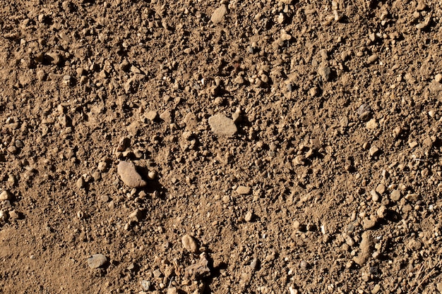 Primo piano sul dettaglio della trama del terreno